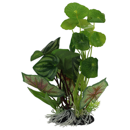 Pennywort/Flame Spathiophylym Display