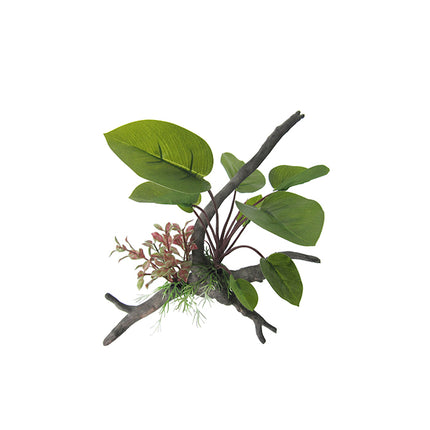 Anubius Span Plant on Branch 26cm