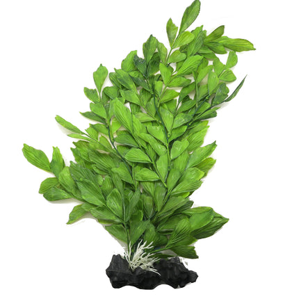 Upright Fern XL 35cm