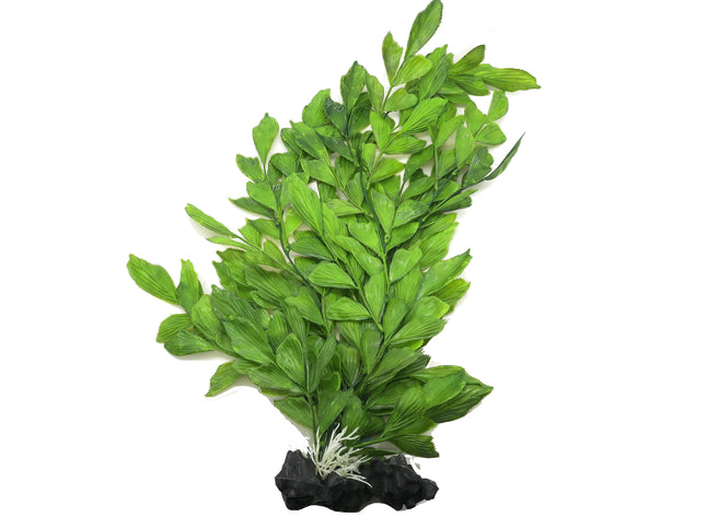 Upright Fern XL 35cm