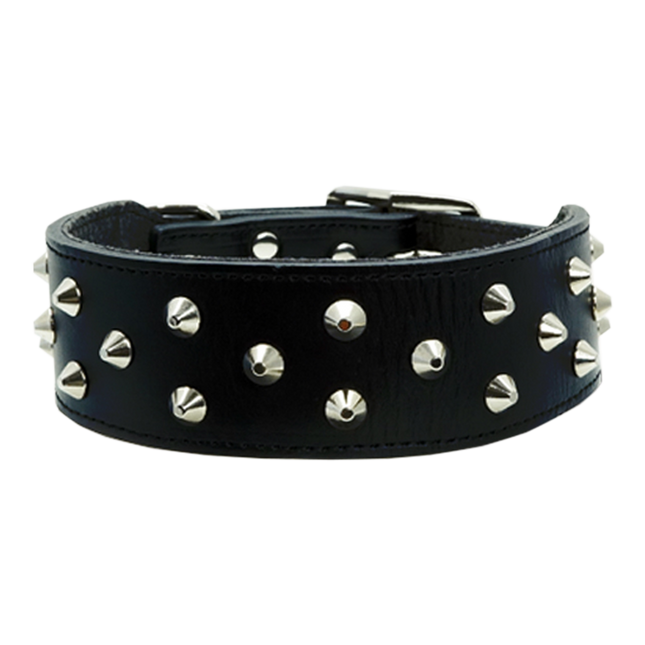 Dan & Sam - Genuine Leather Staffy Collar (Black)