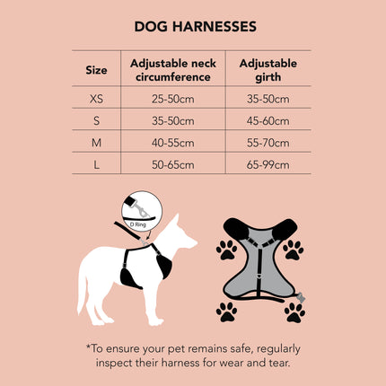 Dan & Sam - Dog Harness (Dino Christmas) - X-Small
