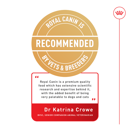 Royal Canin - Cavalier King Charles Breed Adult Dog Dry Food (3kg)
