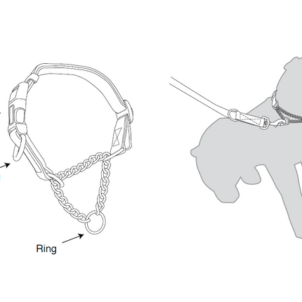Kumfi - Kombi Martingale Collar (X-Small)