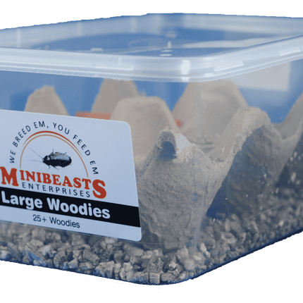 Minibeasts - Large Woodies 25+
