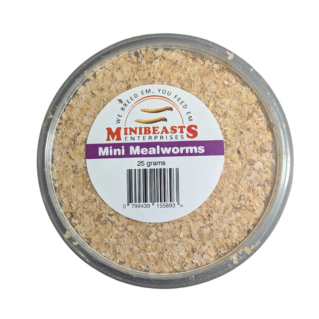 Minibeasts - Mini Mealworms 25gm