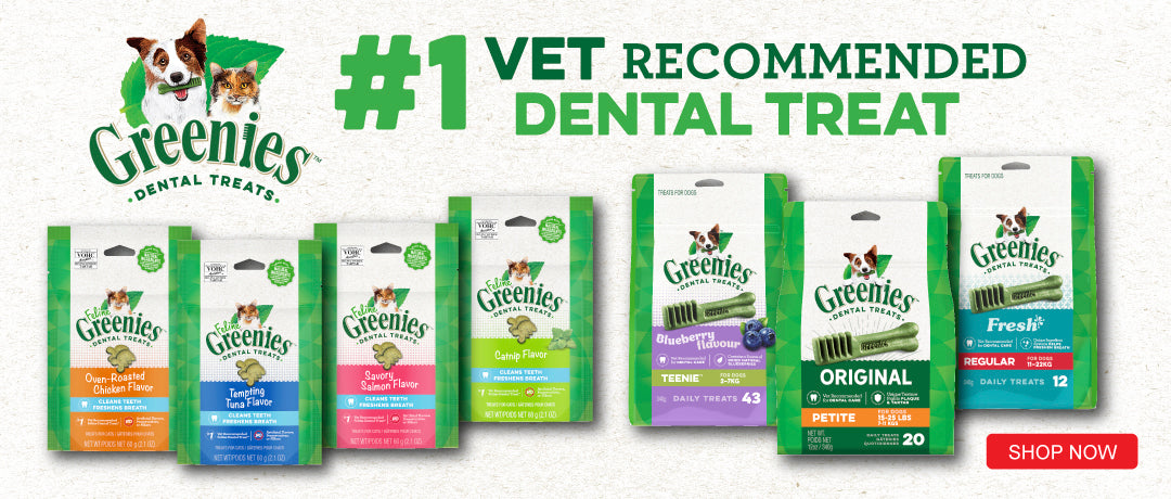 GREENIES is the #1 vet recommended dental treat. Click here to shop the range!