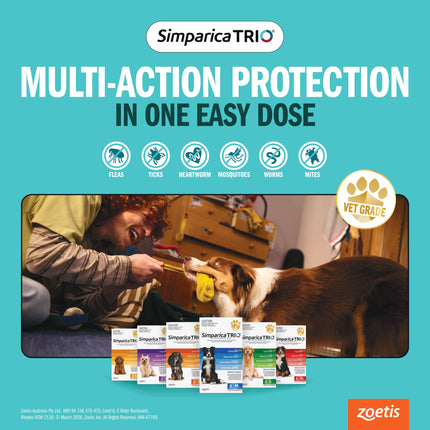 Simparica Trio - Chews for Dogs 20.1-40kg (3pk)