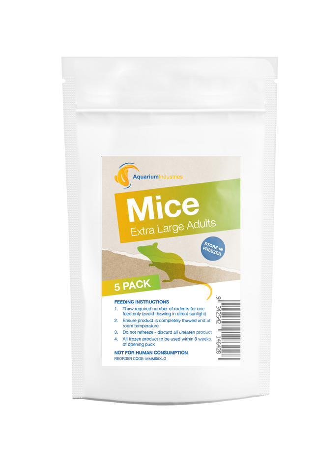 Frozen Mice X-Large Adults (5pk)
