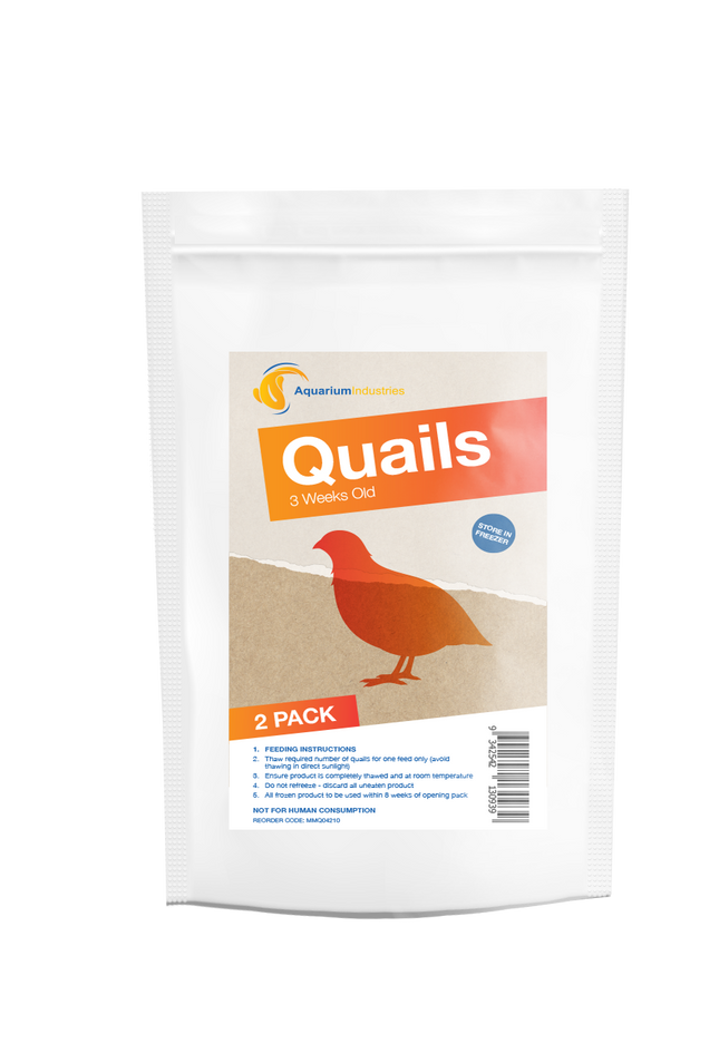 Frozen Quail 3 Week (3pk)