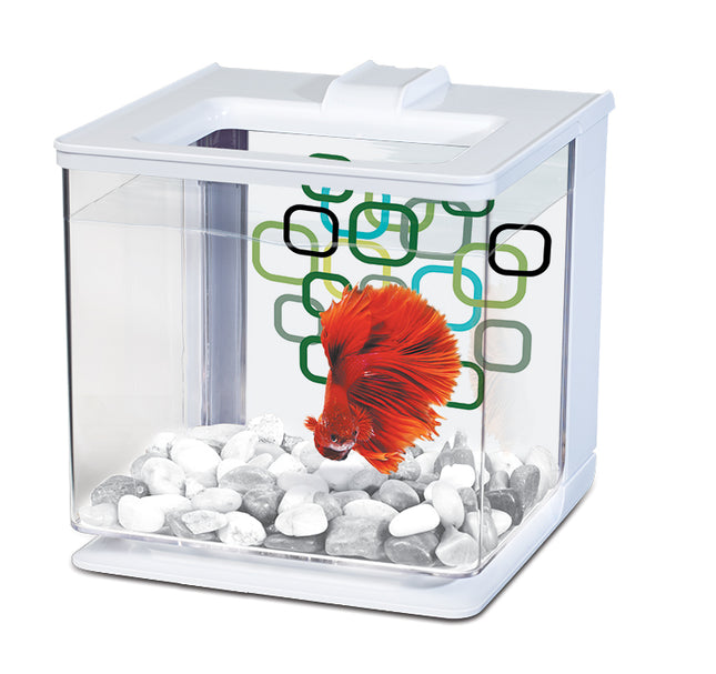 Marina - EZ Care Betta Kit (White)