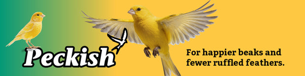 Banner image for: 