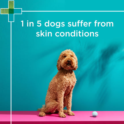 PAW - Medi-NutriDerm Infected Skin Duo Pack for Dogs and Cats (2x200ml)