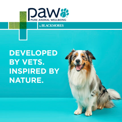 PAW - Coat, Skin and Nails Multivitamins for Dogs (60pk)