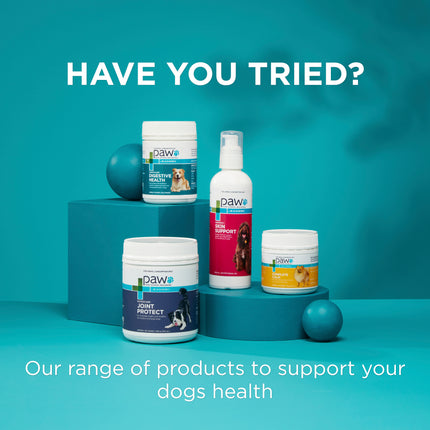 PAW - Manuka Wound Gel for Dogs, Cats and Horses (100g)
