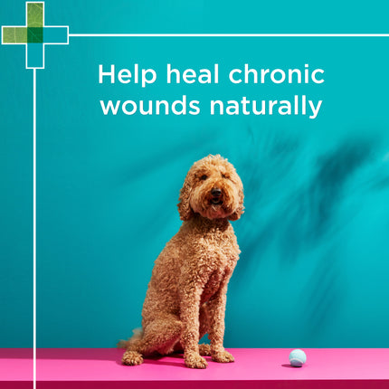 PAW - Manuka Wound Gel for Dogs, Cats and Horses (100g)