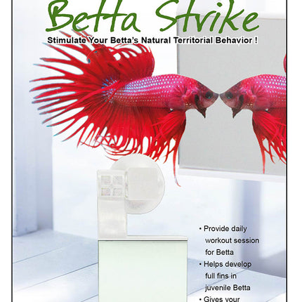 Ocean Free Betta Strike Reflect Mirror