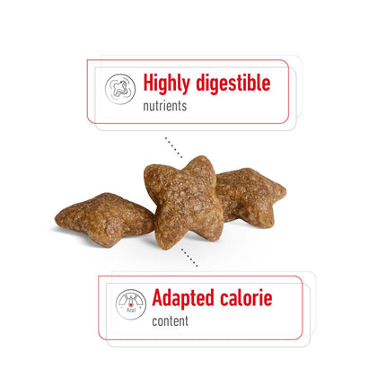 Royal Canin - Mini Adult Dog Dry Food (4kg)
