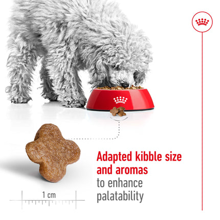 Royal Canin - Mini 8+ Mature Dog Dry Food (2kg)