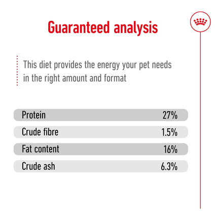 Royal Canin - Mini 8+ Mature Dog Dry Food (2kg)