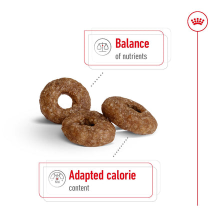 Royal Canin - Mini 12+ Ageing Dog Dry Food (1.5kg)