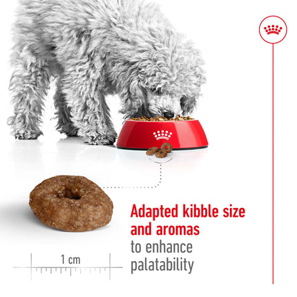 Royal Canin - Mini 12+ Ageing Dog Dry Food (1.5kg)