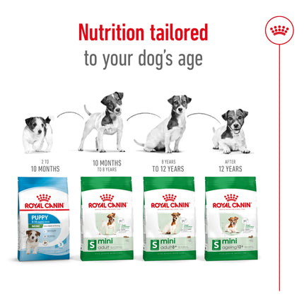 Royal Canin - Mini 12+ Ageing Dog Dry Food (1.5kg)