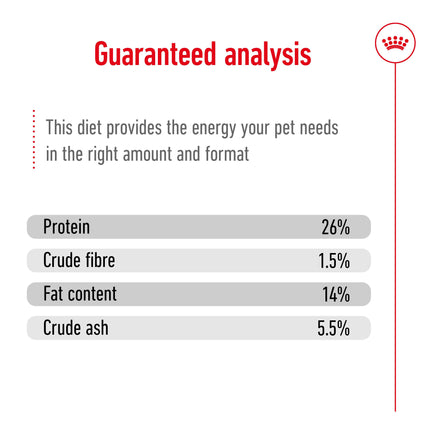 Royal Canin - Mini 12+ Ageing Dog Dry Food (1.5kg)