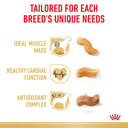 Royal Canin - Boxer Breed Adult Dog Dry Food (12kg)