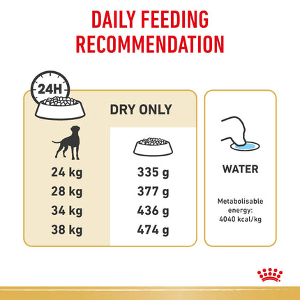 Royal Canin - Boxer Breed Adult Dog Dry Food (12kg)