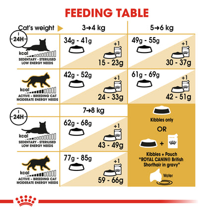 Royal Canin - British Shorthair Breed Adult Cat Dry Food (4kg)