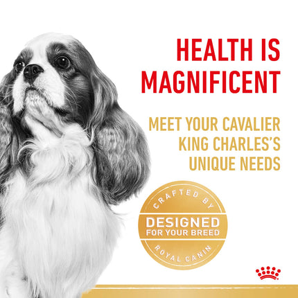 Royal Canin - Cavalier King Charles Breed Adult Dog Dry Food (3kg)