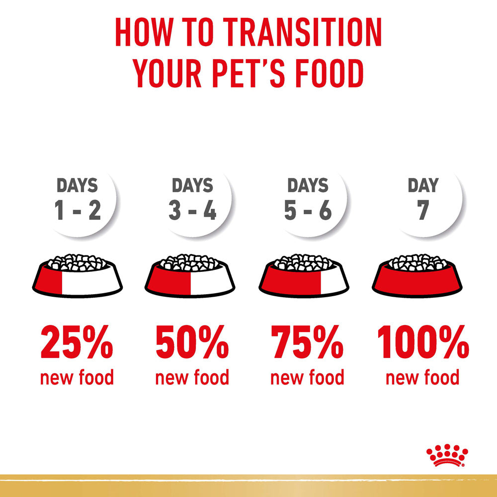 Per Day How Much To Feed A Dachshund Puppy Royal Canin Dachshund