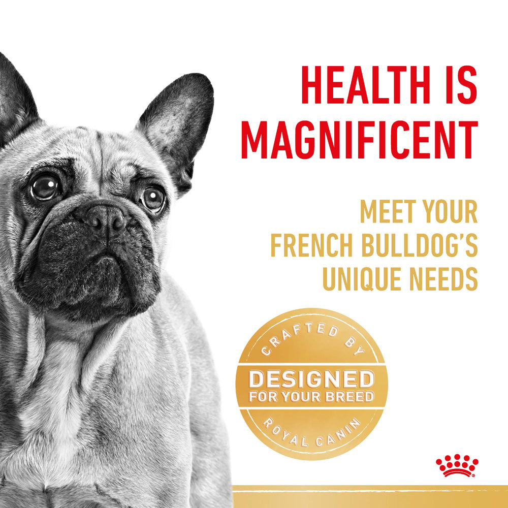 Royal Canin French Bulldog Breed Adult Dog Dry Food (3kg) – Pets