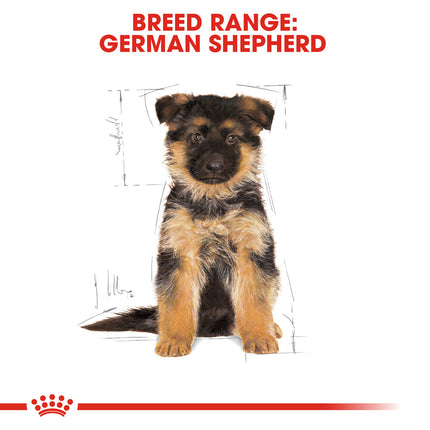 Royal Canin - German Shepherd Breed Puppy Dry Food (12kg)