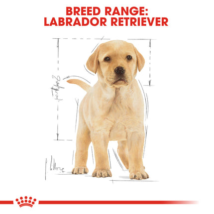 Royal Canin - Labrador Breed Puppy Dog Dry Food (12kg)