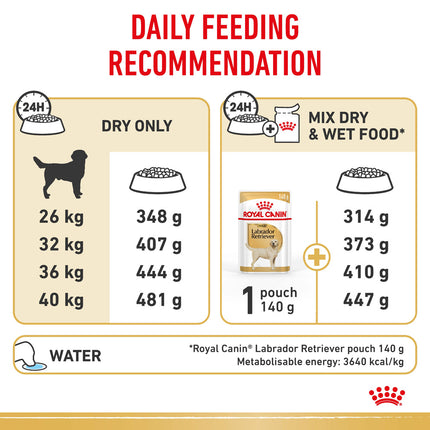 Royal Canin - Labrador Breed Adult Dog Dry Food (12kg)