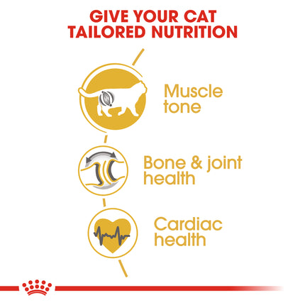 Royal Canin - Ragdoll Breed Adult Cat Dry Food (2kg)