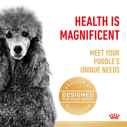Royal Canin - Poodle Breed Adult Dog Dry Food (1.5kg)