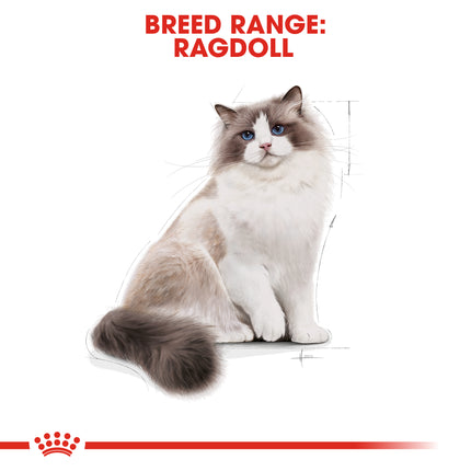 Royal Canin - Ragdoll Breed Adult Cat Dry Food (10kg)