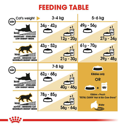 Royal Canin - Ragdoll Breed Adult Cat Dry Food (10kg)