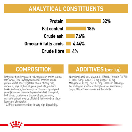 Royal Canin - Ragdoll Breed Adult Cat Dry Food (10kg)