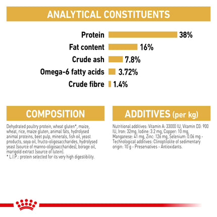 Royal Canin - Siamese Breed Adult Cat Dry Food (4kg)