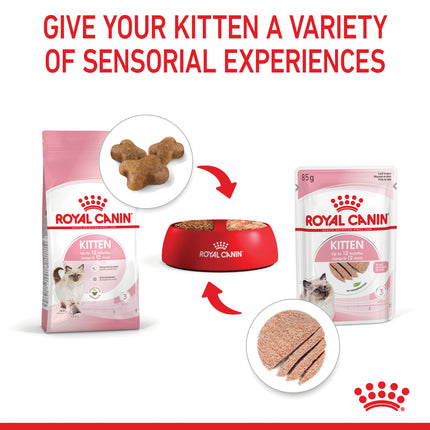Royal Canin - Kitten Dry Food (10kg)