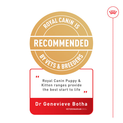 Royal Canin - Kitten Dry Food (4kg)
