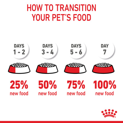 Royal Canin - Kitten Dry Food (2kg)