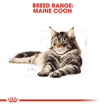 Royal Canin - Maine Coon Breed Adult Cat Dry Food (10kg)