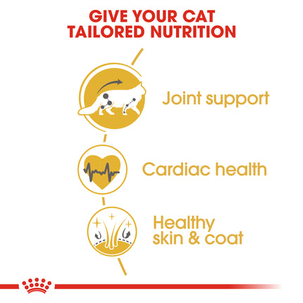 Royal Canin - Maine Coon Breed Adult Cat Dry Food (10kg)