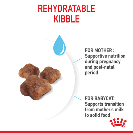 Royal Canin - Mother & Babycat Dry Food (4kg)