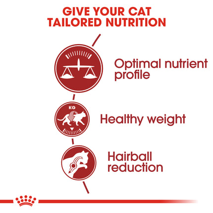 Royal Canin - Fit Adult Cat Dry Food (4kg)
